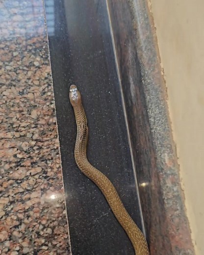 Nagendra Nagendra on Reels