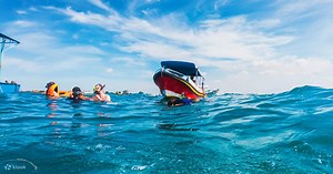 Turtle Island, Glass Bottom Boat and Mangrove Cruise by JTB Indonesia - Klook