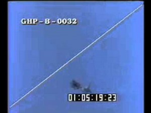 Eagle mate in mid air 2.mov