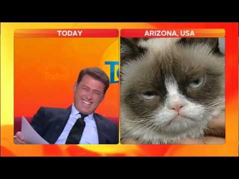 Anchor loses it in Grumpy Cat interview