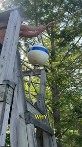 265K views · 206 reactions | Daredevil Lake Swing Watch This! #LakeSwing #SummerFun #AdventureTime #EpicSplash #OutdoorActivities | YNP Media | Facebook