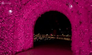 Saigon's light park dazzles visitors - VnExpress International