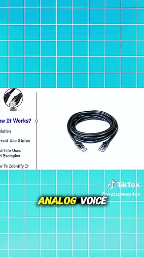 Every Ethernet Cable Explained Key Features and its Evolution Over Time #ethernetcable #cat #cat3 #networkingbasics #ethernet