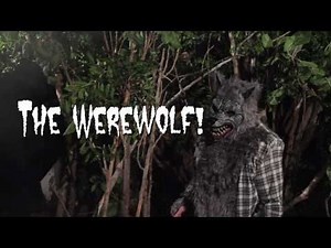 60305 Werewolf Ani-Motion™ Mask