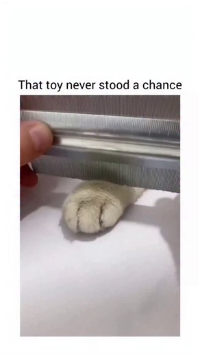 moviebites on Instagram: "The video depicts an artist applying final red brushstrokes to a serene Chinese-style mountain landscape, adding a dramatic scarf to the central figure, but the caption claims the last touch overdid it, creating a relatable “oops” moment for viewers. Replies split on the outcome: some praise the vivid red for elevating the misty scene’s energy, while others sympathize with the classic artist dilemma of stopping before perfection slips into excess. Posted by internet cur