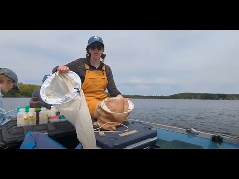 Zooplankton Sampling Demonstration