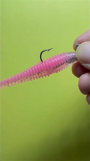 Step by Step Fishing Bait Installation Tutorial