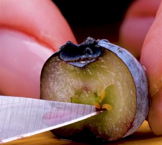 Genius Planting Hacks for Stunning Results! | 5-Minute Crafts UK