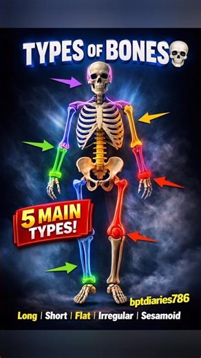 Bones Names of Human Skelton | Human Skelton | Sketch Of Human Body |Bones