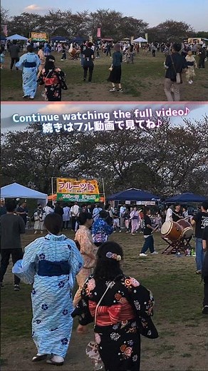 【8K】🇯🇵盆踊りジンギスカン!!🌸Cherry blossom festivals in Japanese parks🌼地域防災桜まつり👯中原防災公園