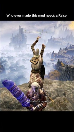 Who ever made this mod needs a Raise #eldenring