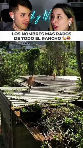 Young man scolds his goats and calls them by the funniest and strangest names