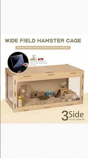 Setting Up Your Hamster's Dream Home!
