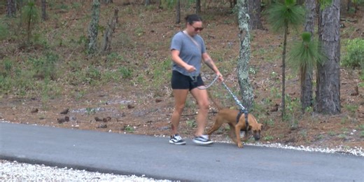 Pet registration fee increase in New Hanover County