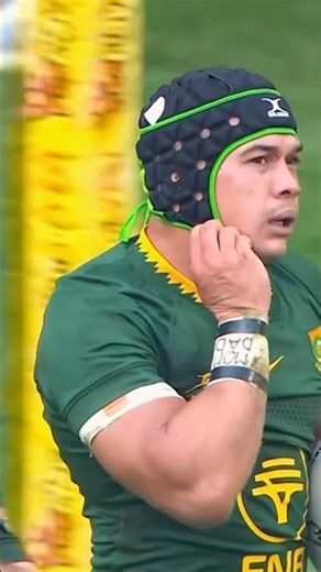 SPRINGBOKS DOMINATE THE BARBARIANS! 🇿🇦🔥
