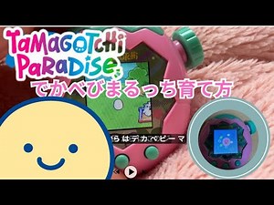 でかべびまるっちの育成方法。たまごっちパラダイスで、でかべびまるっちに進化させる方法。tamagochi