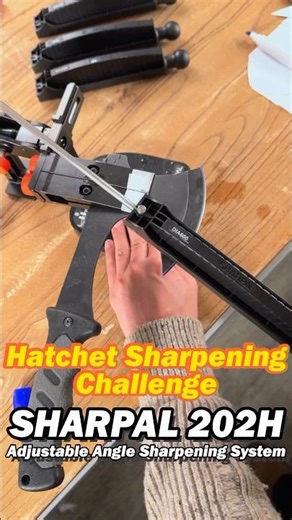 SHARPAL 202H Adjustable Angle Sharpening System #sharpening #system #sharpener #challenge #fyp