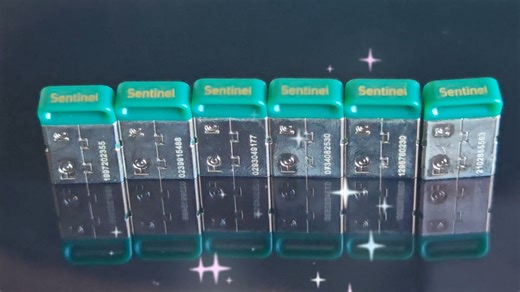 Sentinel LDK加密锁 圣天诺加密狗HASP HL PRO,HASP TIME 泰雷兹新Thales 赛孚耐 顶级加密狗 绕自毁解决问题