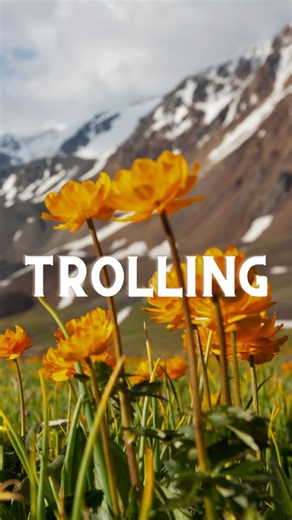 Kathryn on Instagram: "The next time you are tempted to argue with someone on the internet- don't. 😅 When I first heard the "bad bots" vs "good bots" statistic, I wondered what their definition of a "good bot" was. For anyone else wondering, they are categorizing "good bots" as competent customer service bots (which, in my opinion, are still vastly non existant). I am at the age where I just smile and let people be ridiculously wrong. You think that injecting yourself with experimental gene the