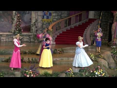 Disney's princess ball