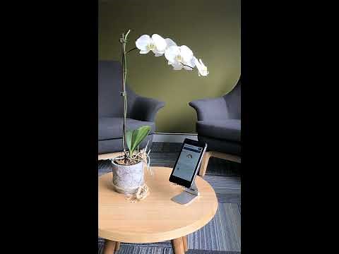 Connect to your Smart Inverter Screen using WLAN