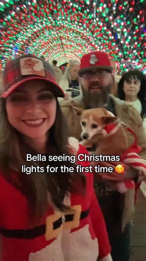 Here Comes Bella on Instagram: "We took Bella to see Christmas lights for the very first time this week, and it felt so special ✨🎄 Watching her soak it all in reminded us why we love this season so much. Sending lots of Christmas love your way 🤍🐾🥰 #ChristmasWeek #FirstChristmasWithBella #HereComesBella #DogMoments #ChristmasLights"