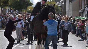 4K views · 49 reactions | Marymass didn't pan out as everyone hoped this year despite organisers making a good fist of it with a virtual version of the historic festival. Here we've out together a video of some of the best Marymass outtakes from years gone by - and there are some absolute crackers in it! Enjoy, and here's to Marymass 2021! | Irvine Herald and Kilwinning Chronicle | Facebook