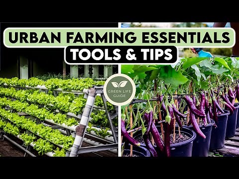 Urban Farming for Beginners: Essential Tools and Tips