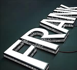 Custom Lighted Channel Letters, Stainless Steel Storefront Sign,8 to 20 inch Tall LED Business Signage Large LED Letters for Outside (Custom White,Warm White,Red,Green,Blue,Yellow, 4 letters)