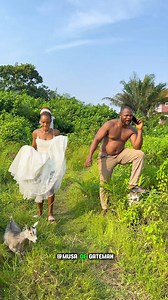 The Goat inside wedding gown | Musa De Gateman