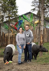 Un zoo pas comme les autres - streaming online