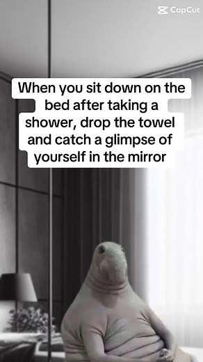 Reflection Meme: Laugh at Yourself After a Shower