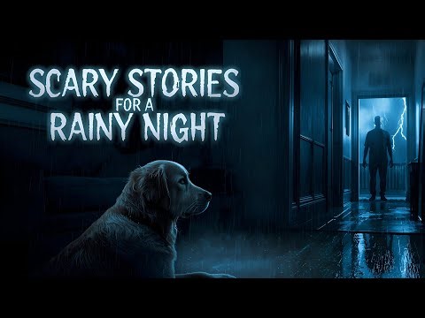 My Dog Sees What I Can't - 15 TRUE Pet Camera Horror Stories | 4+ Hours Rain Sounds