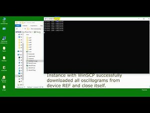 WinSCP, Python, FTP and relay protection