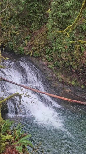 Exploring the Beautiful Trail Near Silverton, Oregon