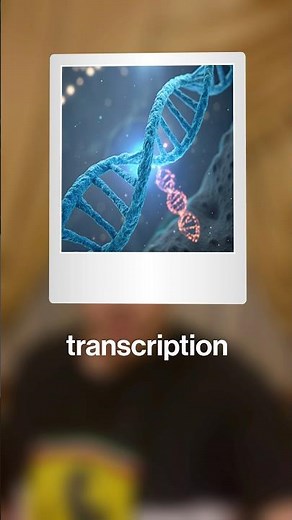 Gene expression from DNA to protein quiz #explore #science #explained #madeeasy #biology