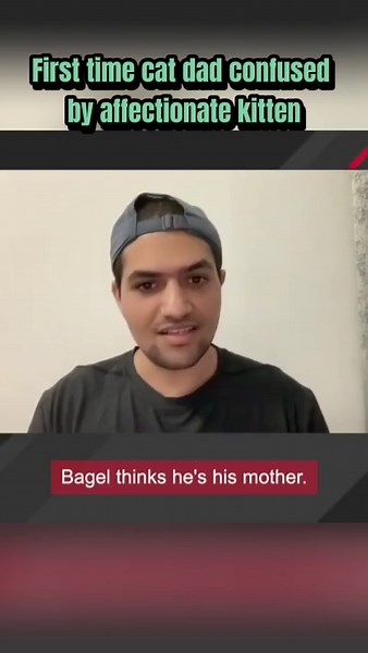 GeoBeats Animals (@geobeatsanimals03.55)’s videos with original sound - GeoBeats Animals