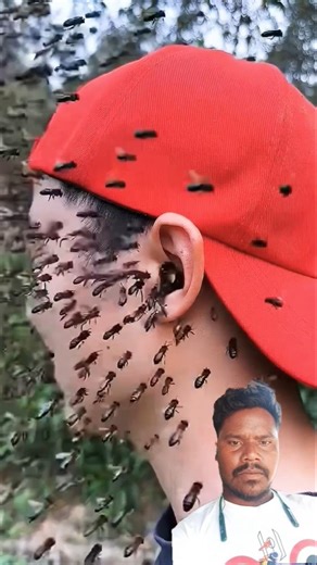 Survival Skills: Useful and Clever #outdoors#survival #campfire #bushcraft