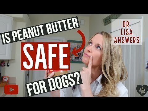 Is peanut butter SAFE for dogs? | Veterinarian Dr. Lisa answers (2018)