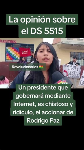 Opinión sobre el Decreto Supremo 5515 y el Gobierno por Internet