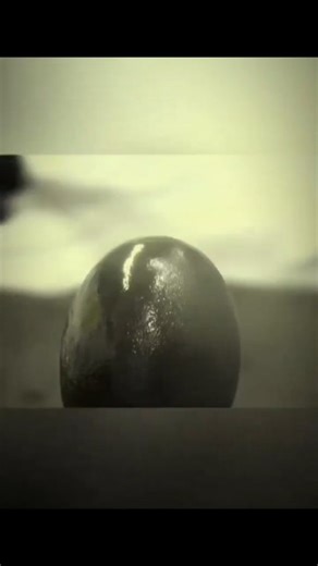 2.5K views · 116 reactions | This isn't just paint—it's armor! Meet LINE-X, the world's strongest paint made from Polyurethane + Isocyanate. It’s so tough, it can make anything nearly indestructible! Follow @ZiranScience for mind-blowing science facts! #ZiranScience #LineX #WorldsStrongestPaint #ScienceReels #MindBlown #MaterialScience #TechFacts #Indestructible | Ziran Science | Facebook