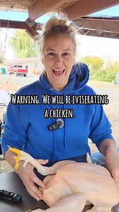 Butchering Chickens at Home (Part 4) | Step-by-Step Evisceration Guide Part 4 of our butchering series — a respectful, step-by-step evisceration guide. From farm to table, using the whole bird. #fromfarmtotable #homesteadlife #lifeskills #outdooredge | Mountain Spring Homestead