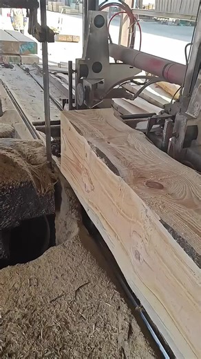 Processing pine wood as building materials #woodcutting #woodworking #short #shorts #woodworking