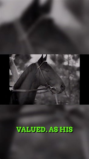 Everyone Doubted This Horse—Then He Shocked the Nation #seabiscuit #history #racing