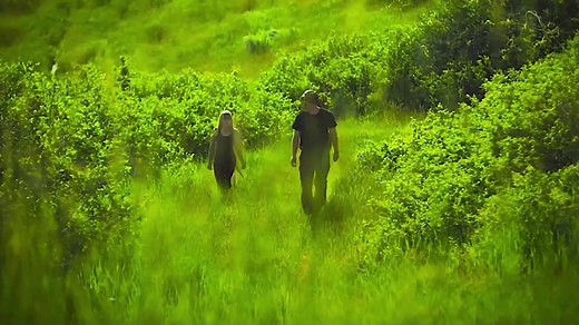 deserved better #haysliee#haymitchabernathy#mayslieedonner#haymitchabernathyedit#thehungergames#thehungergamesedit#edit#foryoupage#foryou#thg#fyp#fypp