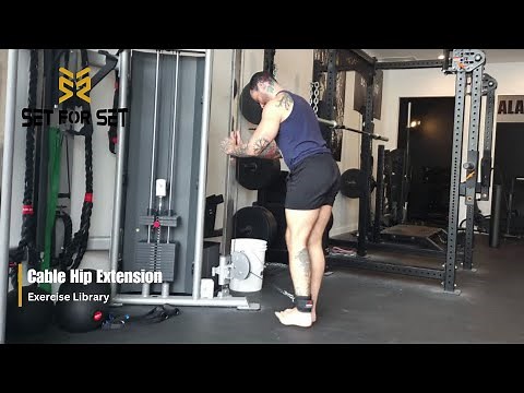Cable Hip Extension | SFS Exercise Library