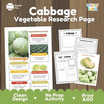 Cabbage Vegetable Research Project | Plant Science Activity | Healthy Eating