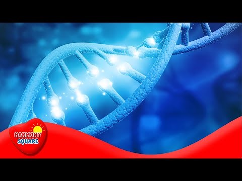 Molecular Clocks - More Grades 9-12 Science on the Learning Videos Channel