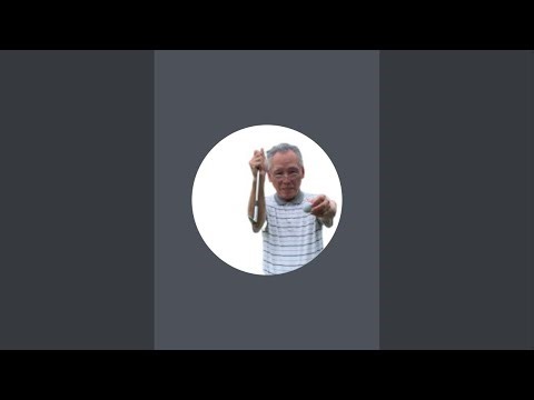 golfスイングのブラックボックス、ゴルフ体の回転について、