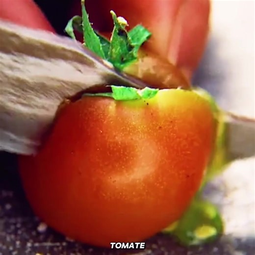 Los mejores resúmenes de películas en un minuto